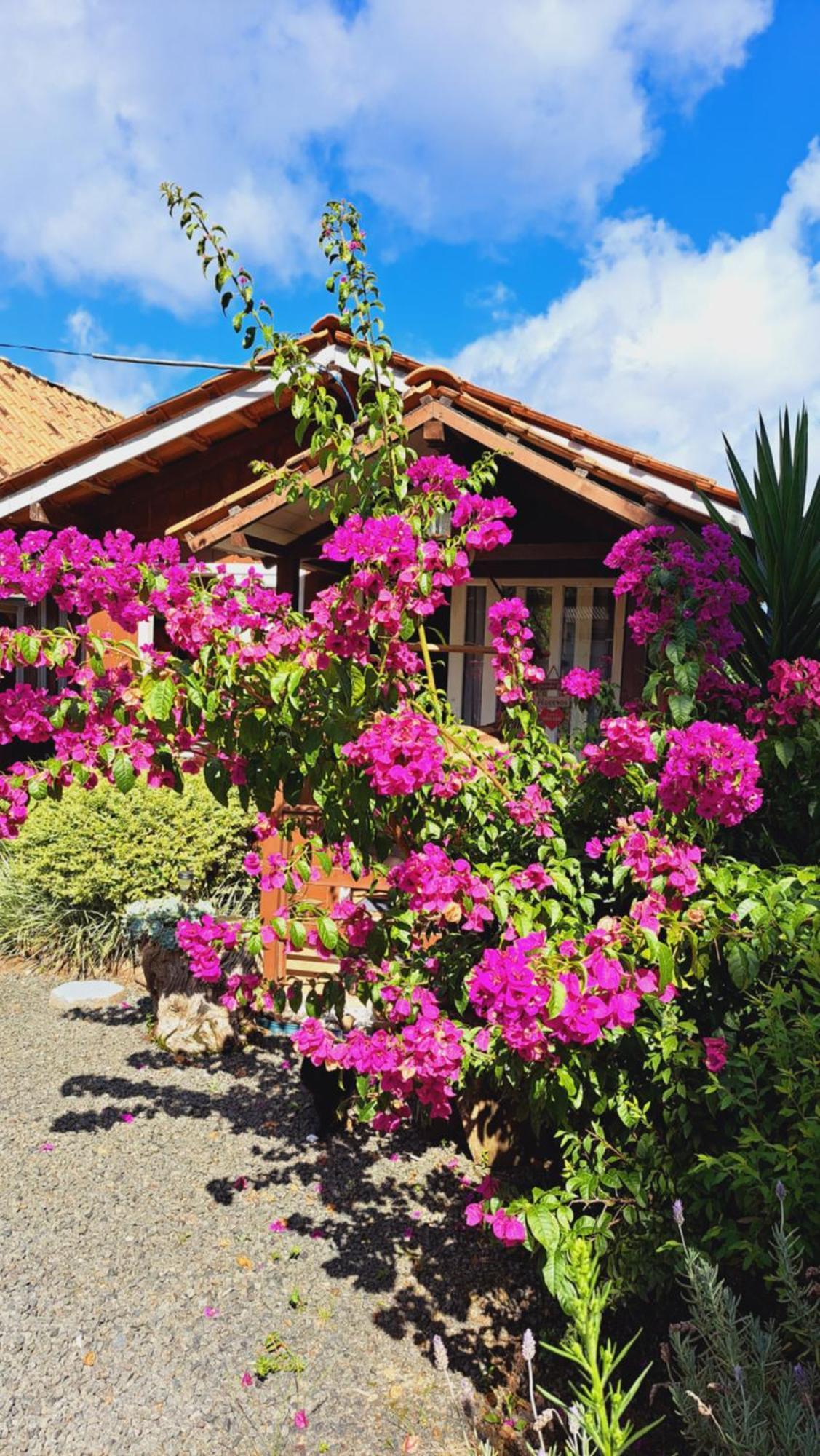 Chales Doce Luar Casas De Temporada Urubici Quarto foto